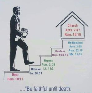 Meet your Posher, Jonas